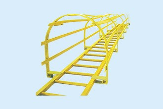 Safety ladder system with Cage